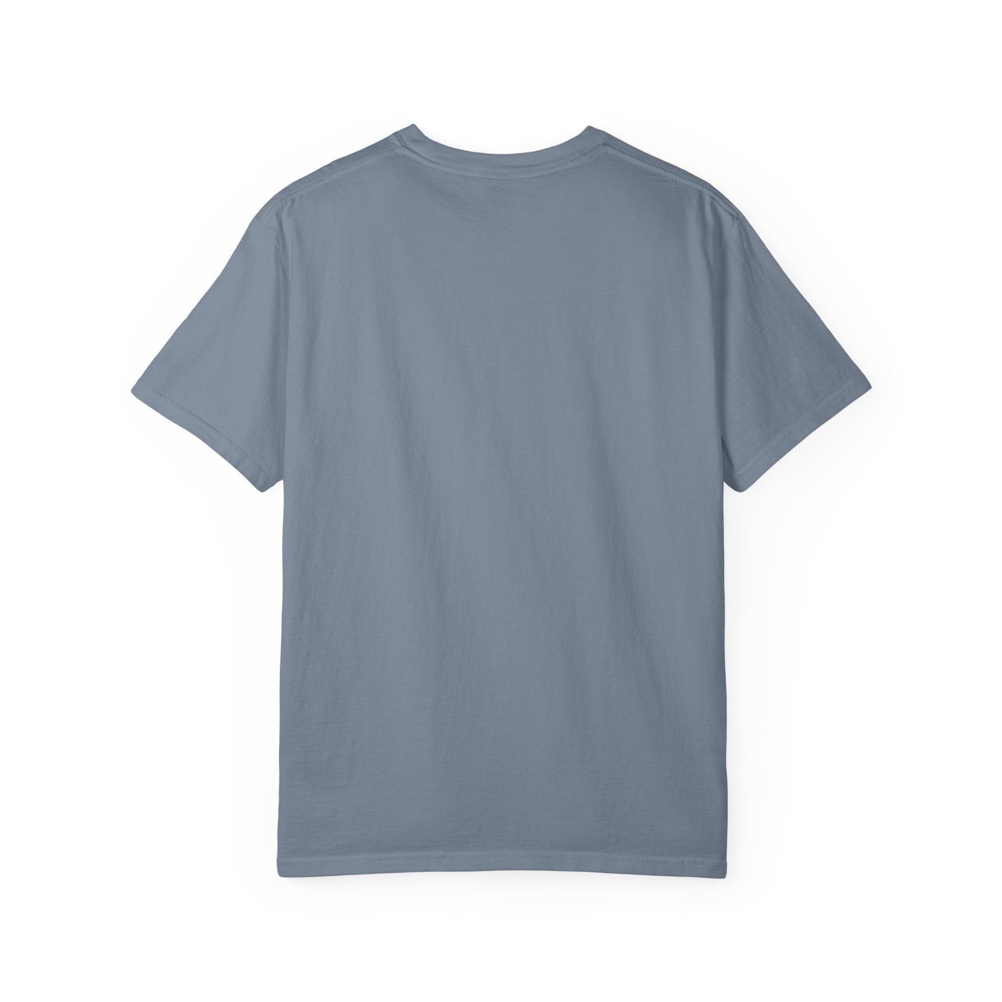 Saturday in the South T-Shirt – Tailgate Picnic Football Vintage Stadium Tee